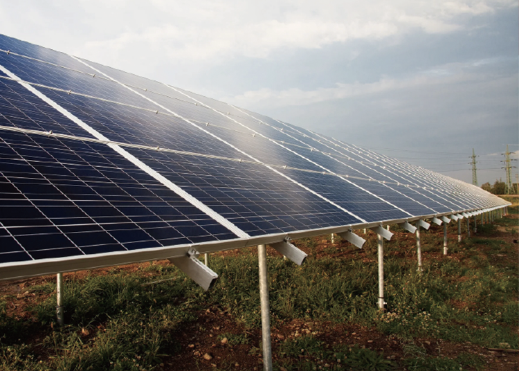 新手的永續設計入門：來自 Elisha Tal 的五個靈感建議